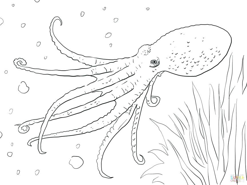 863x647 Oswald Coloring Pages Coloring Pages Octopus Musky Page Free
