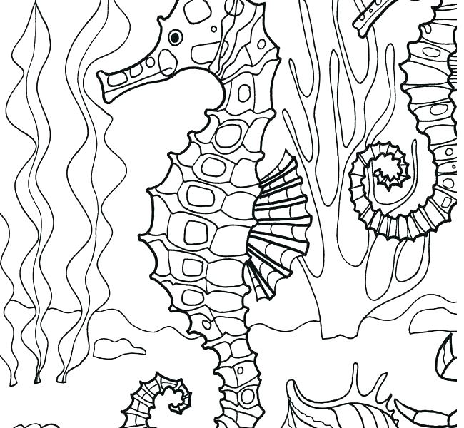 650x600 Otter Coloring Page Fresh Otter G Pages Print Under Sea The Page