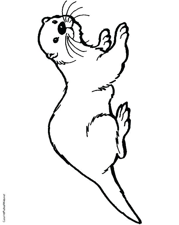 612x767 Otter Coloring Page Otter Coloring Page Sea Otter Coloring Pages