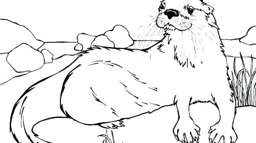 500x280 Otter Coloring Page Printable Finding Dory Dot To Dot Otters
