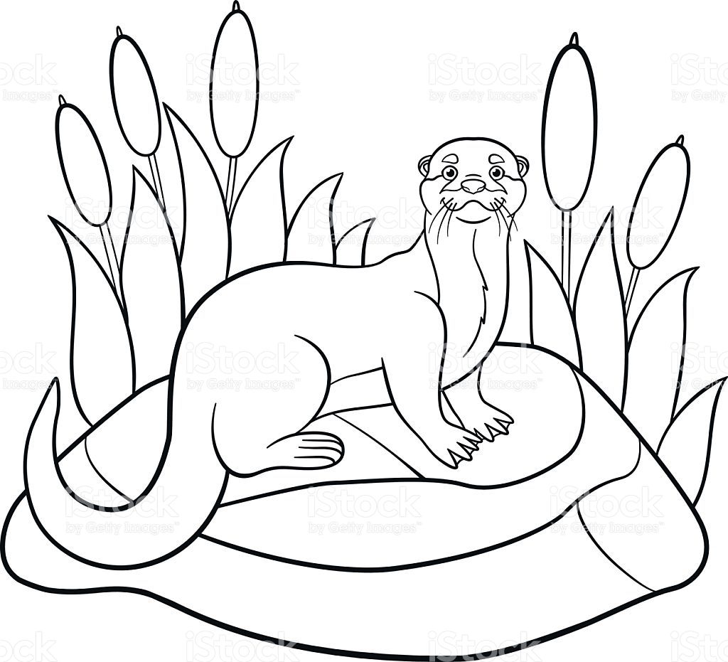 1024x931 Otter Coloring Pages Free For Otter Coloring Pages