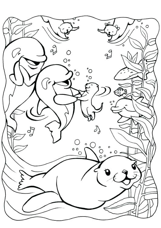 531x750 Otter Coloring Pages Otter Coloring Pages Cute Otter Coloring