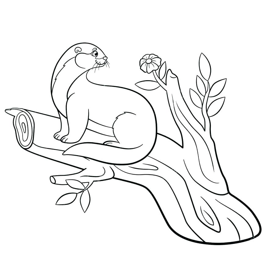 878x878 Otter Coloring Pages Sea Otter Coloring Pages Harry Potter