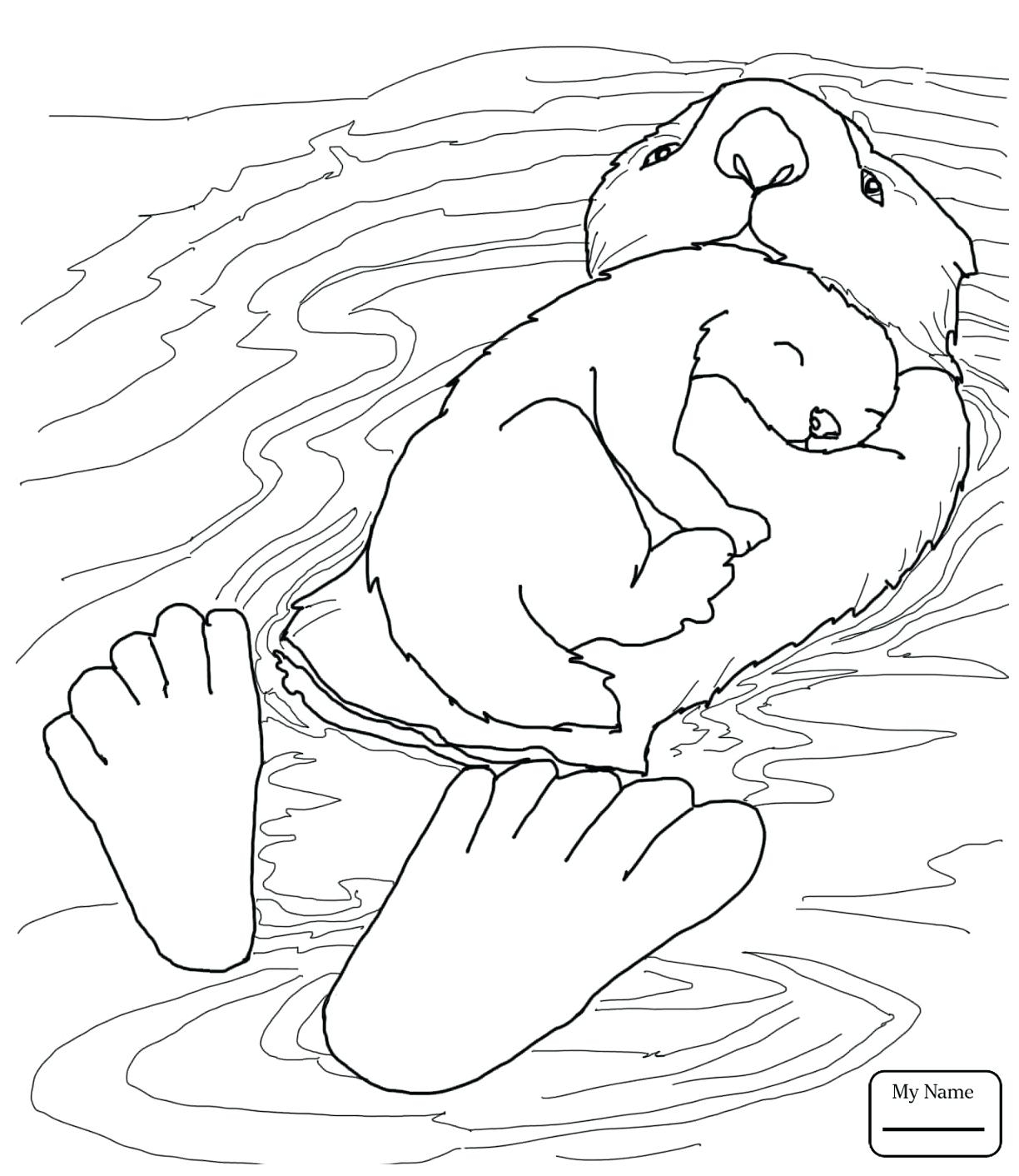 1224x1412 Sea Otters Coloring Pages Gallery Coloring For Kids