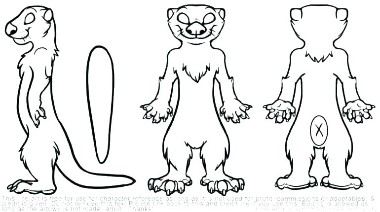 770x430 Otter Coloring Pages
