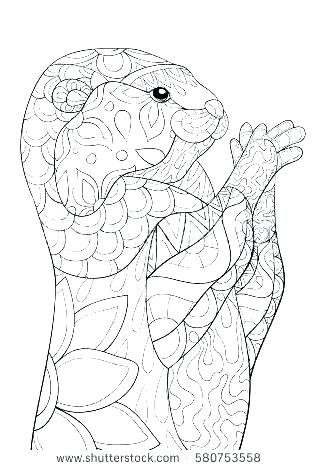 318x470 Baby Otter Coloring Pages Sea Otter Coloring Page Otter Coloring