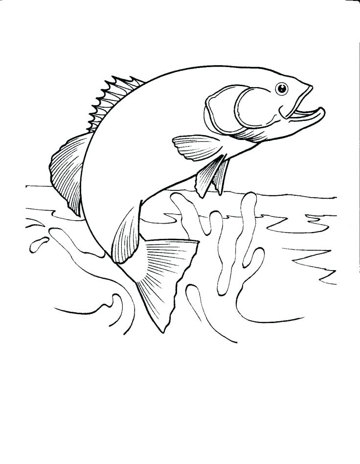 736x948 Outdoor Coloring Pages Complete Outdoor Coloring Pages Image Many