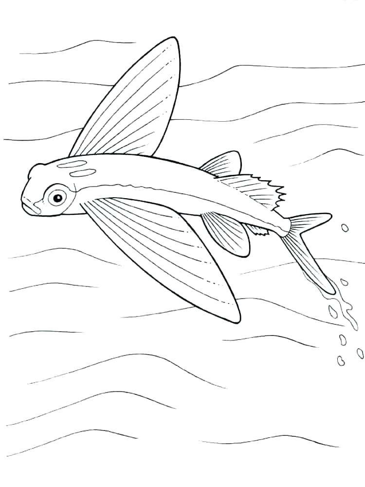 750x1000 Fish Bowl Coloring Page