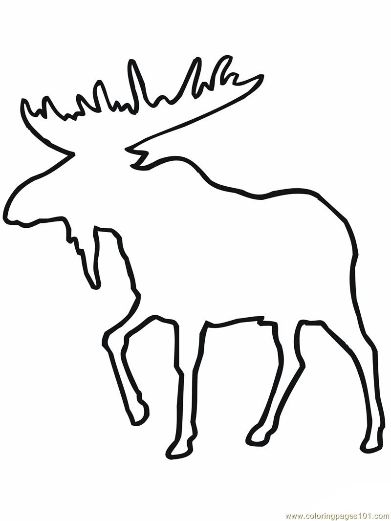 800x1066 Moose Outline Coloring Page