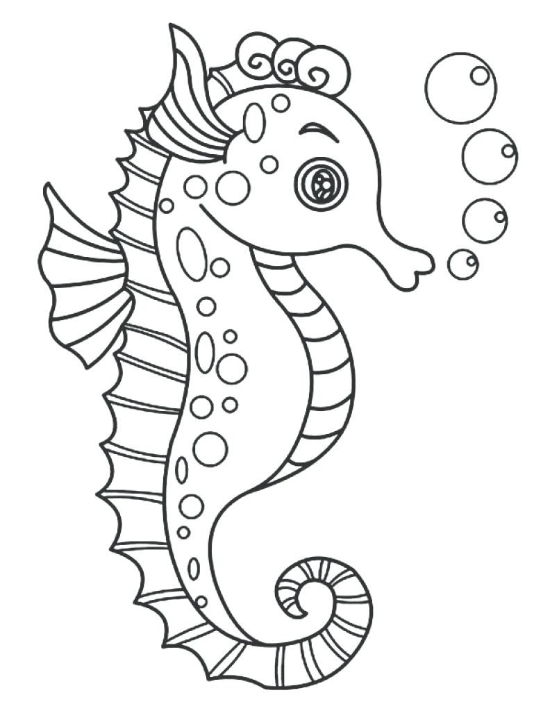792x1024 Reference Seahorse Outline