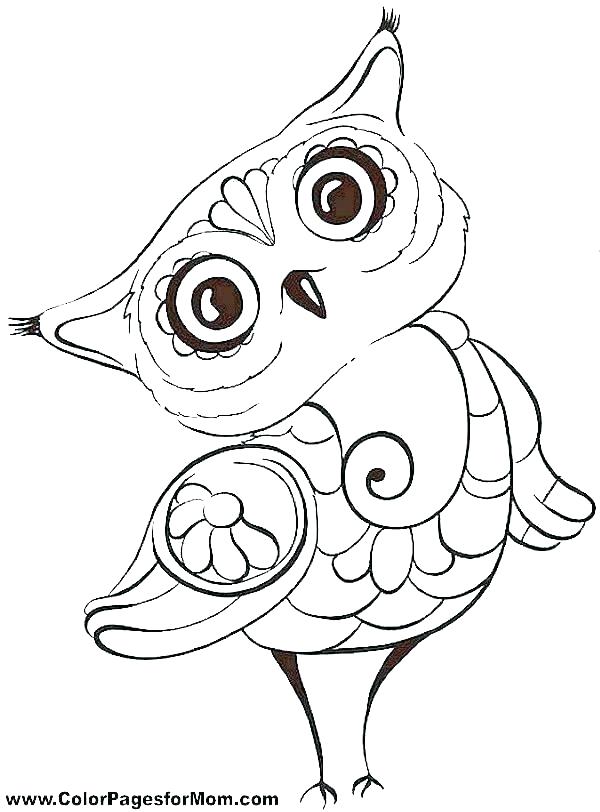 600x812 Free Cartoon Owl Coloring Pages To Print Printable For Kids Page