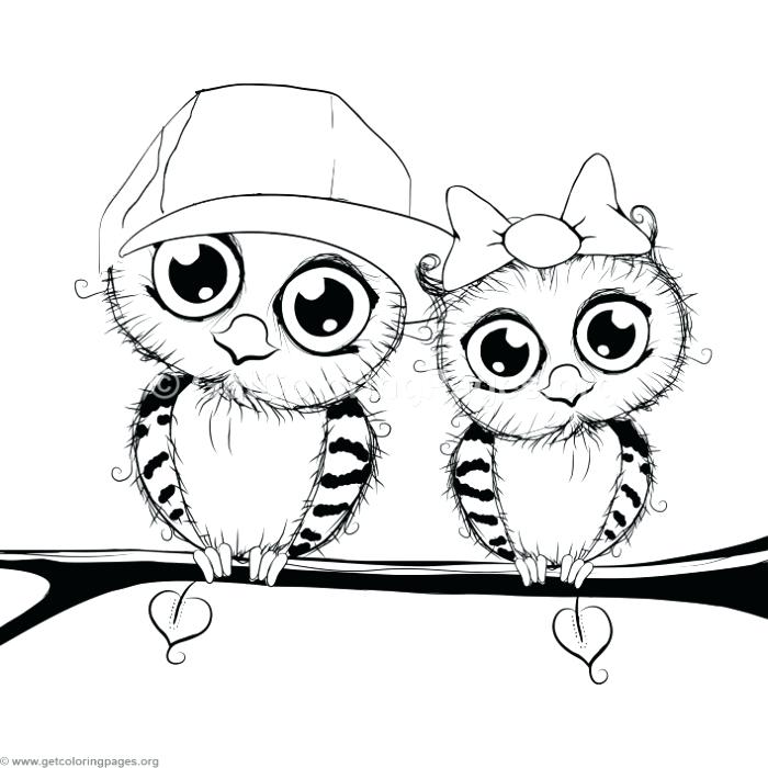 700x700 Owl Cartoon Coloring Pages Cute Cartoon Owl Couple On A Tree