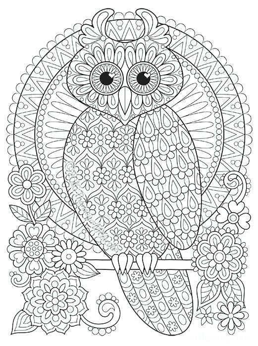 521x700 Owl Coloring Book Pages Perched Owl Coloring Page