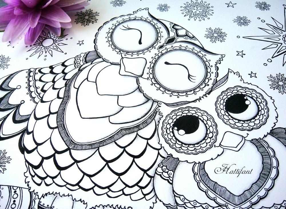 1000x731 Owl Color Pages Owl Colouring Pages And Printable Card Free