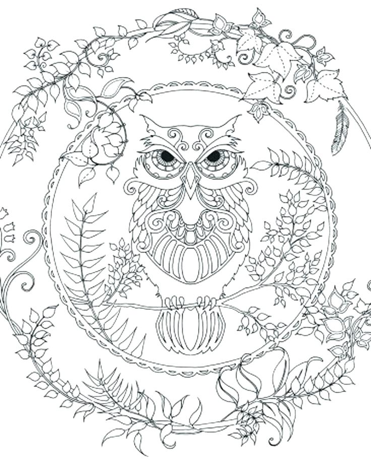 736x919 Owl Color Pages Printable Owl Coloring Pages Adult Coloring Pages