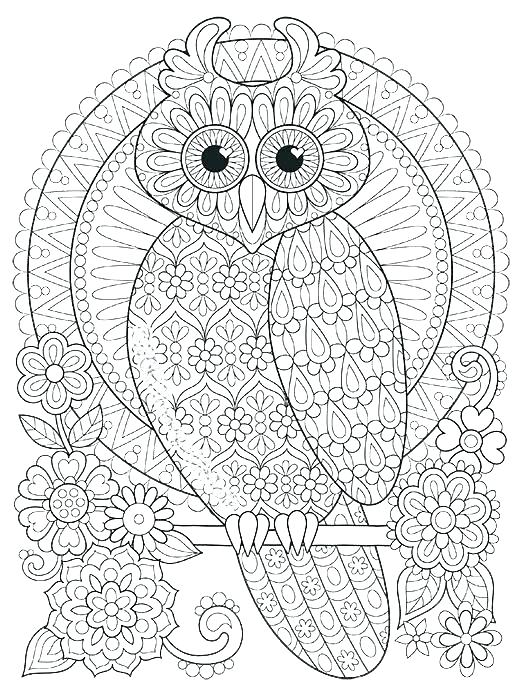 Owl Coloring Pages Colored at GetDrawings | Free download