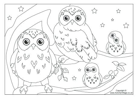 460x325 Owl Pictures Coloring Pages Guaranteed Owl Color Sheets Exciting