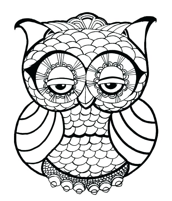 600x699 Owl Pictures To Color Or Cute Owl Coloring Pages To Print Fresh