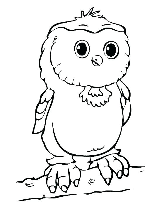 550x712 Coloring Pages For Girls Owl