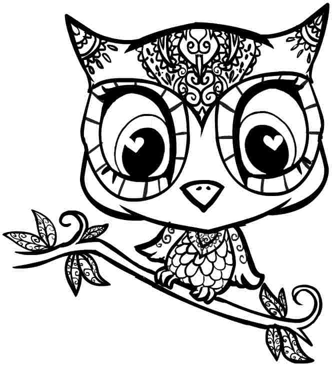 666x732 Free Printable Owl Coloring Pages Free Printable Owl Coloring