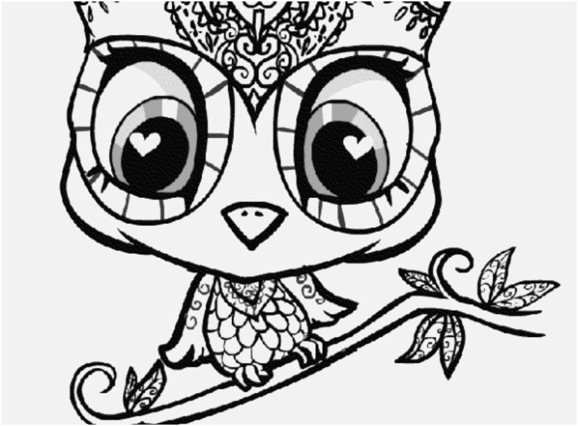 827x609 Adult Coloring Owl Shoot Cute Owl Coloring Pages For Girls