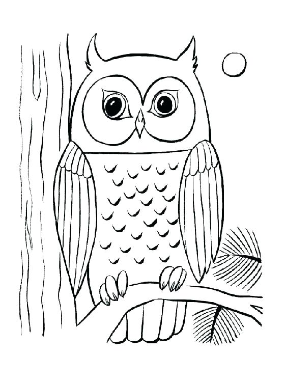 560x750 Hard Owl Coloring Pages Hard Coloring Pages Coloring Pages
