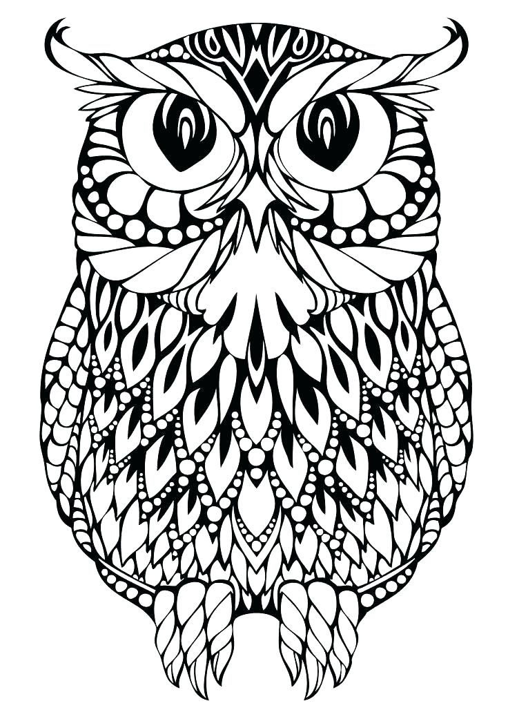736x1041 Printable Owl Coloring Pages Barn Owl Coloring Pages Printable