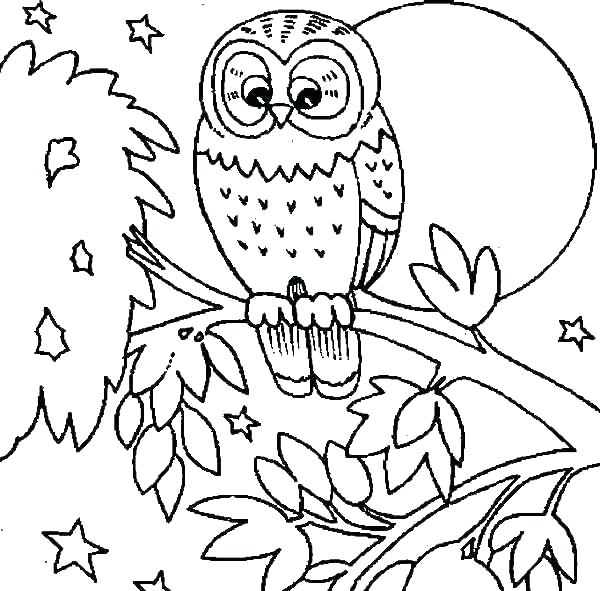 600x591 Snowy Owl Coloring Pages Snowy Owl Coloring Pages Page Burrowing