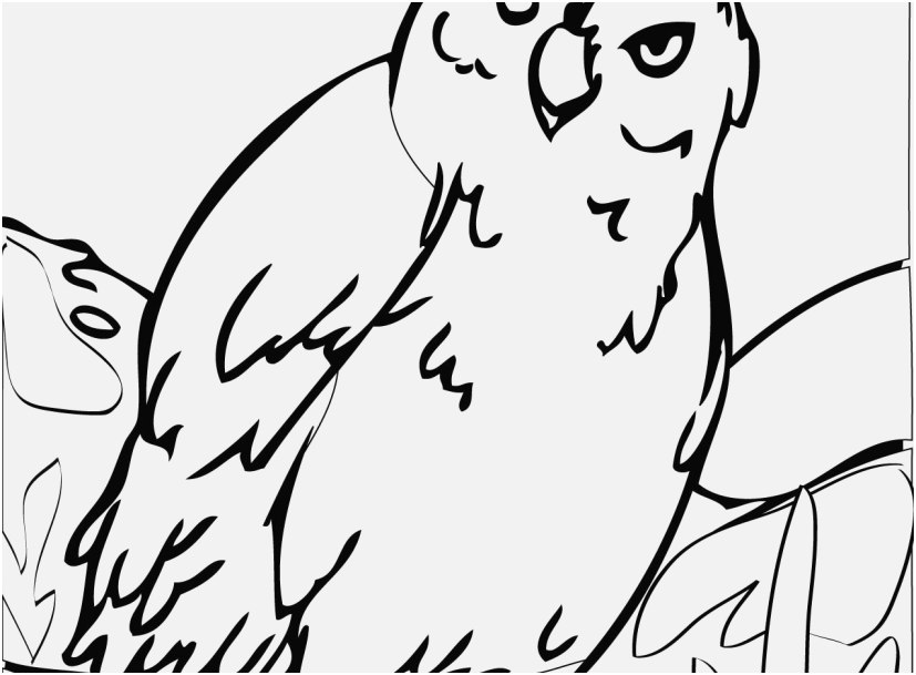 827x609 Free Owl Coloring Pages Design Free Printable Owl Coloring Pages