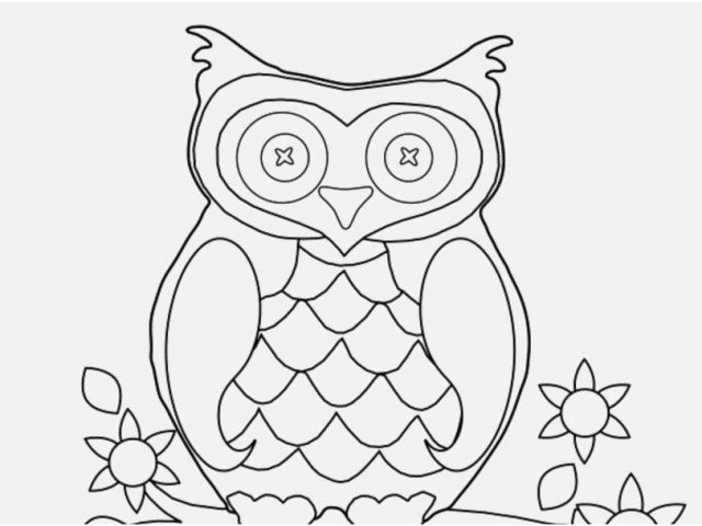 640x480 Free Owl Coloring Pages Adults Stock Owl Coloring Pages