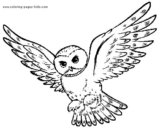 525x429 Smartness Design Owl Coloring Pages Free Printable Best Ideas
