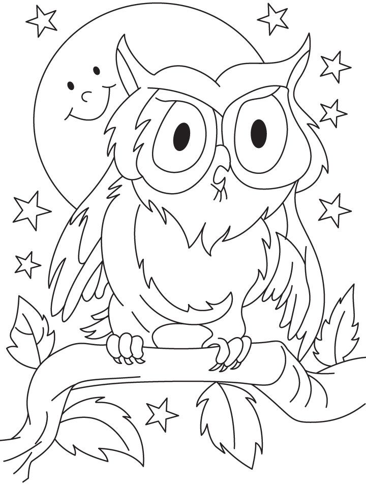 720x954 Owl Coloring Pages For Preschoolers Coloring Pages For Kids