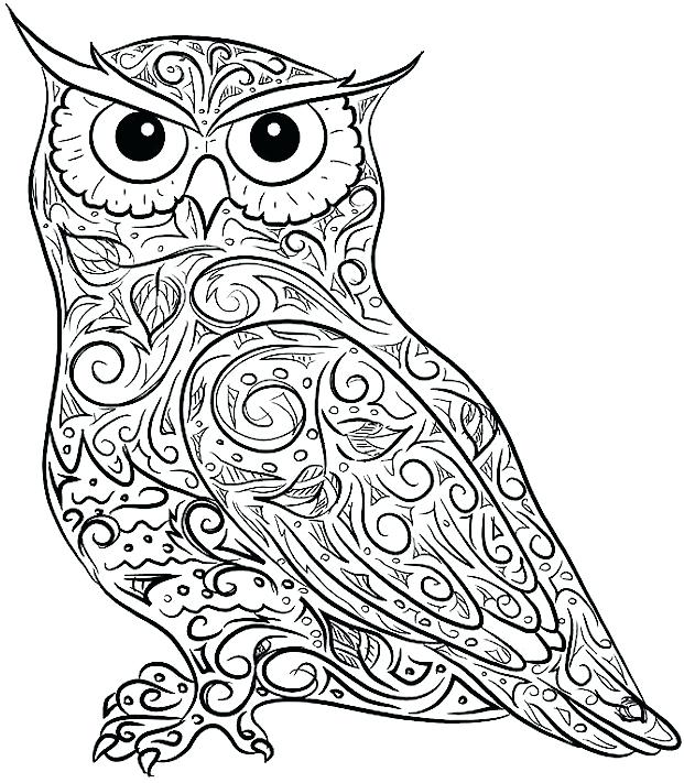 621x711 Owl Coloring Pages Also Great Horned Owl Coloring Page Online