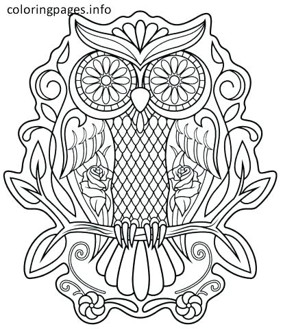 413x480 Coloring Pages Owl