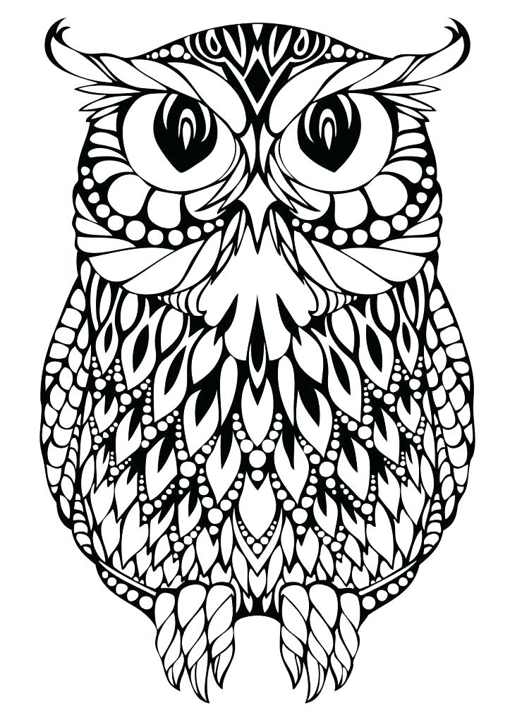 723x1024 Coloring Owl Coloring Great Horned Page Com Pictures Color Pages