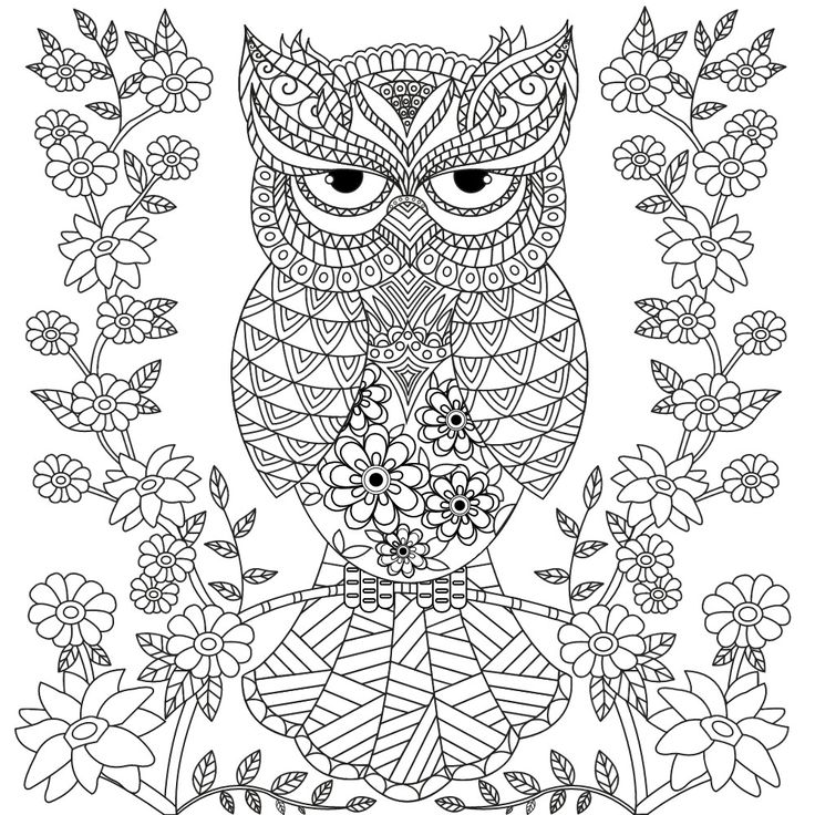 736x736 Owl Coloring Pages For Adults Free Detailed Owl Coloring Pages