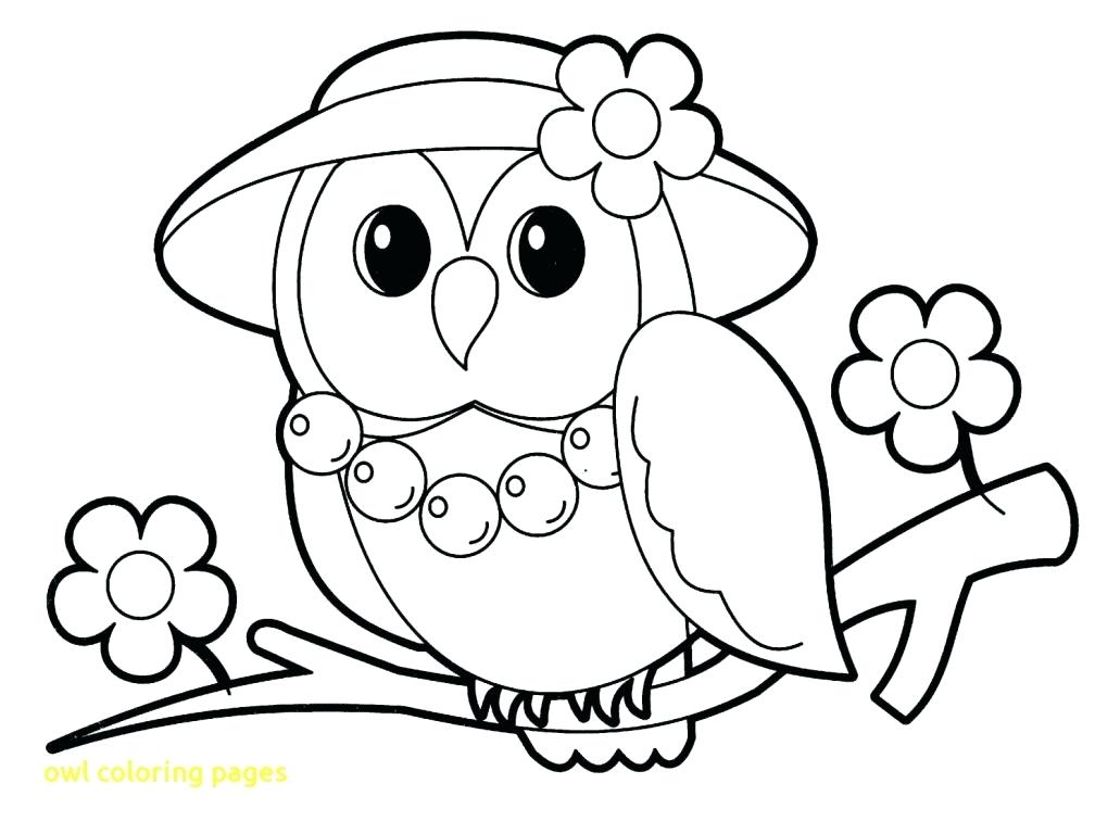 1008x768 Barn Owl Coloring Pages Printable With Best Free For Kids Nice Be