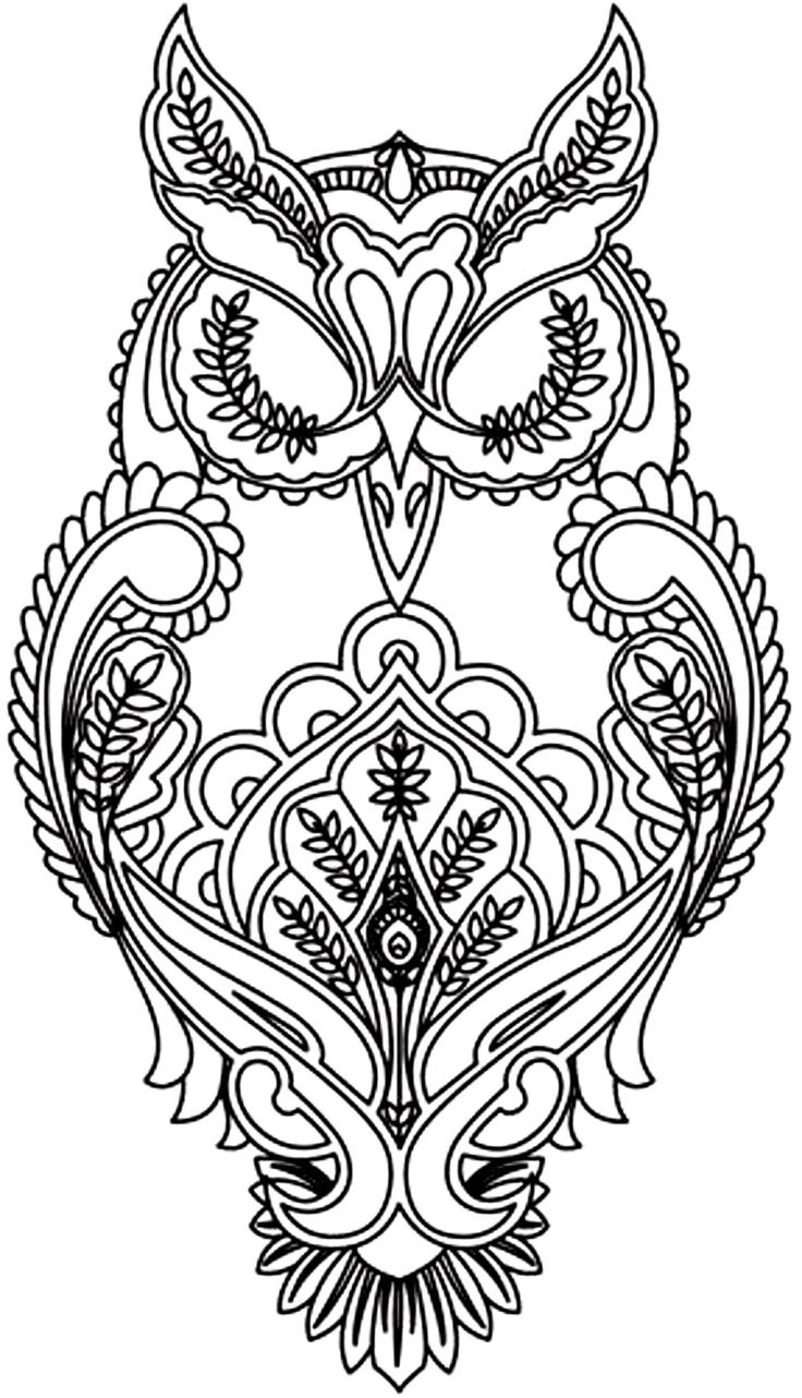 736x1282 Fresh Owl Mandala Coloring Pages Design Printable Coloring Sheet