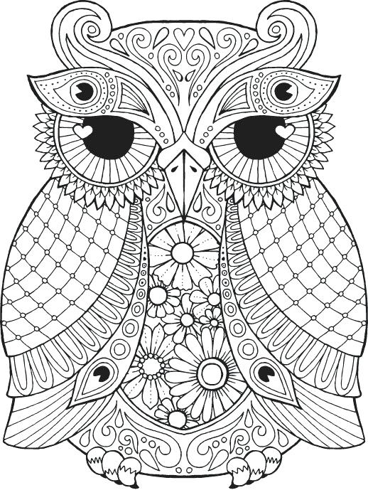 518x689 Owl Coloring Pages For Adults Owl Coloring Pages For Adults Owl