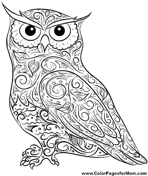 621x737 Owl Print Out Coloring Pages Owl Colouring Pages Owl Printable