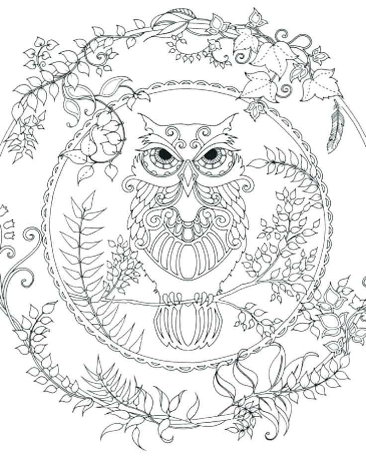 736x919 Owl Print Out Coloring Pages Page Barn Es Printable Exclusive Free