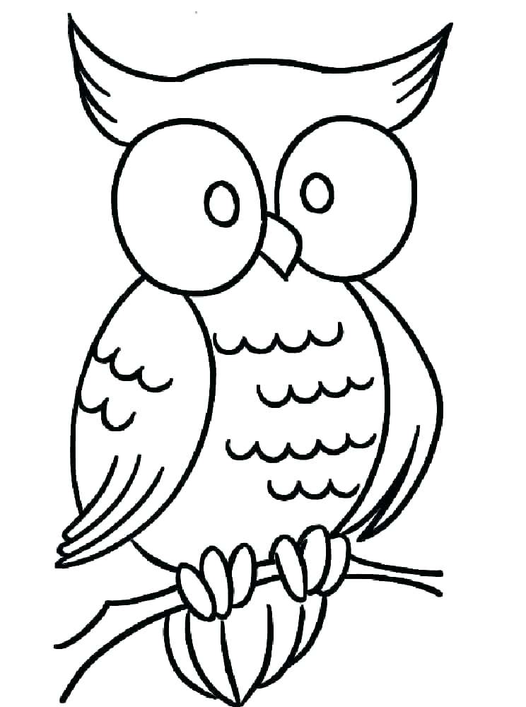 744x1000 Coloring Pages Of Owls Icontent