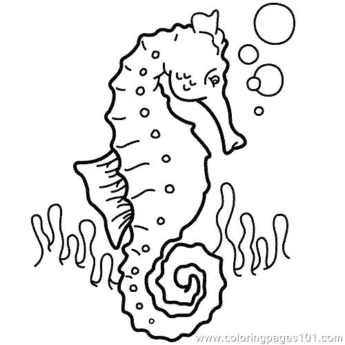500x500 Oyster Animal Coloring Pages And Worksheets For And And Activity