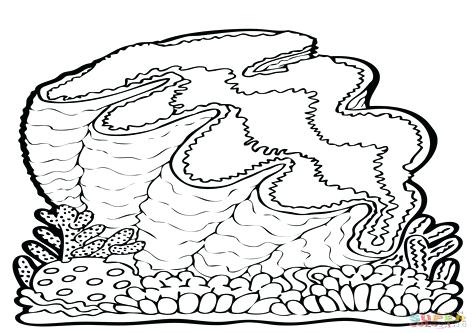 476x333 Oyster Animal Coloring Pages Oyster Printable And Coloring Page
