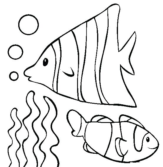 554x565 Oyster Coloring Pages Coloring Petsline Coloring Pages P