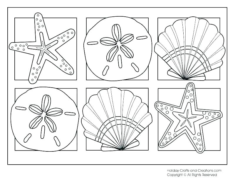 800x618 Shell Coloring Pages Hermit Crab Coloring Page Crab Coloring