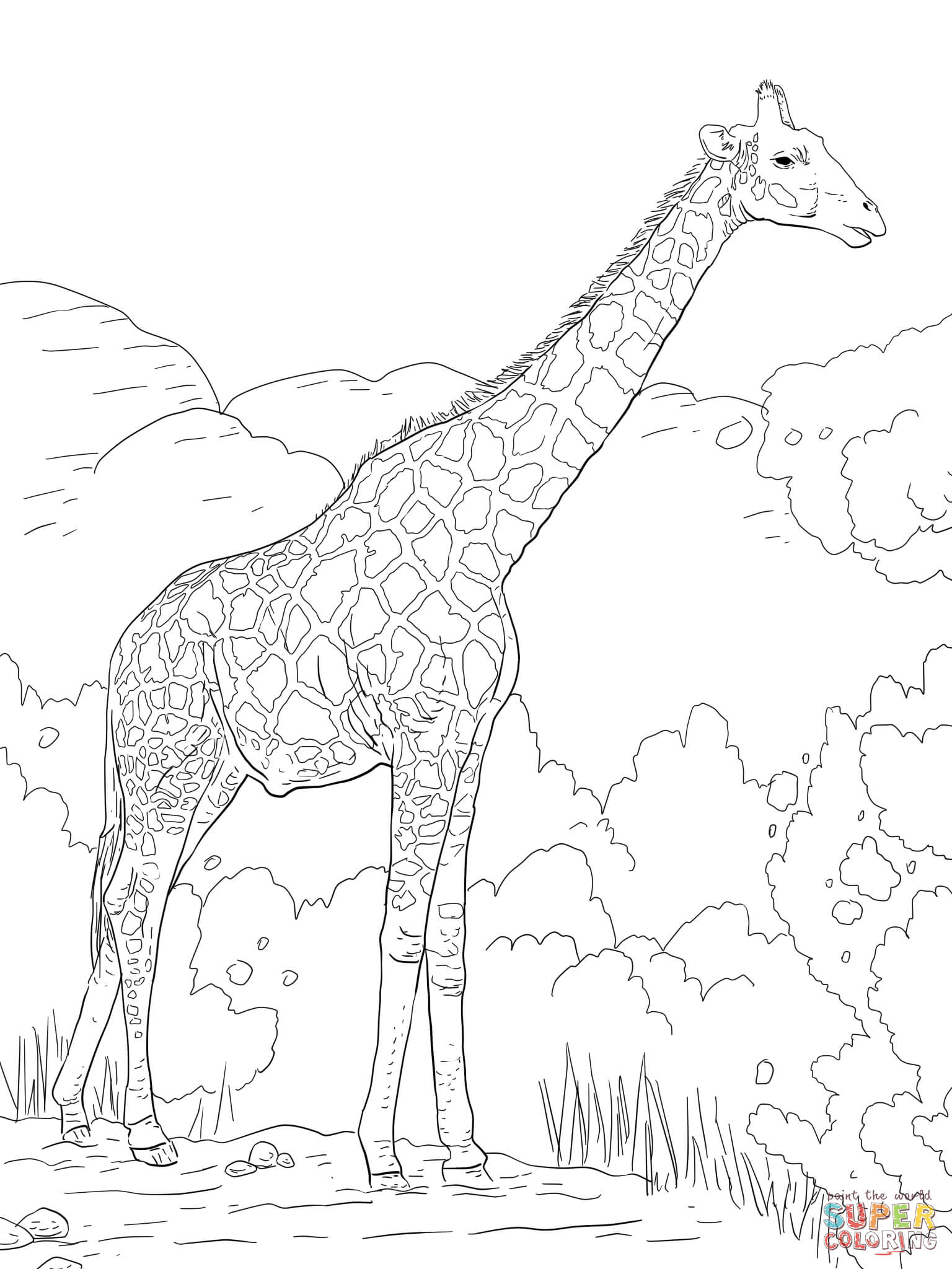 1536x2048 Love Giraffe Colouring Pictures Giraffes Coloring Pages Free