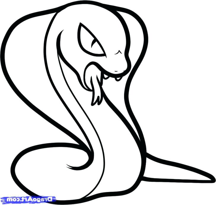 728x693 Rattlesnake Coloring Pages Trend Ball Python Coloring Pages Best