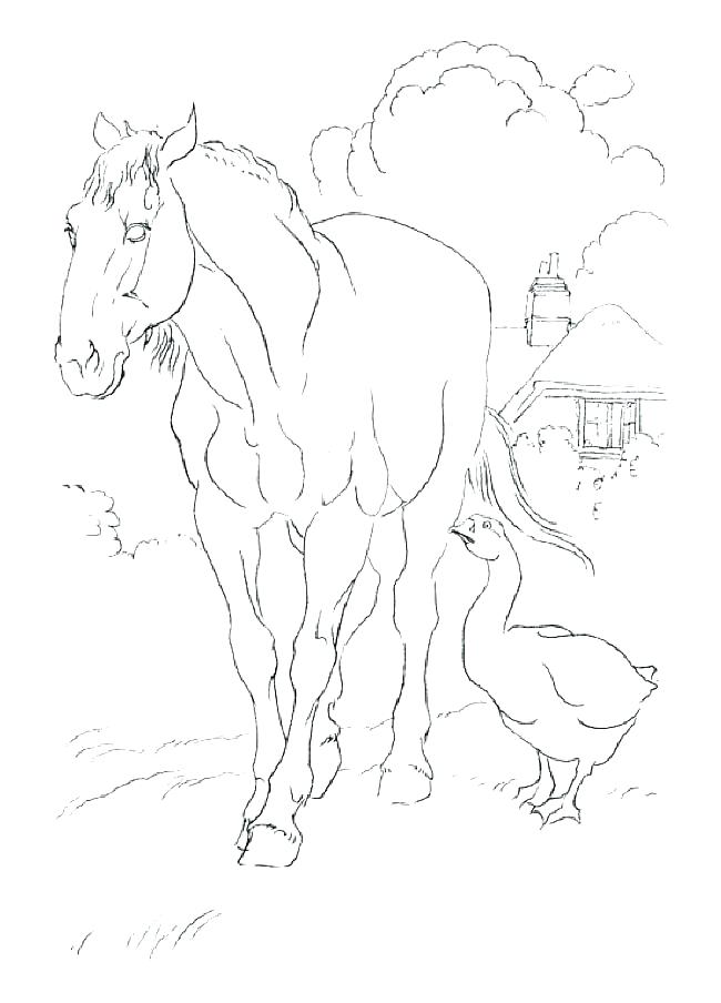 650x904 Cute Horse Coloring Pages Baby Horse Coloring Pages Cute Horse