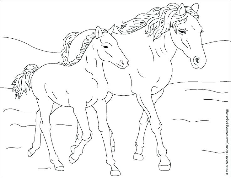 736x566 Mustang Horse Coloring Pages Coloring Pages Horses Paint Horse